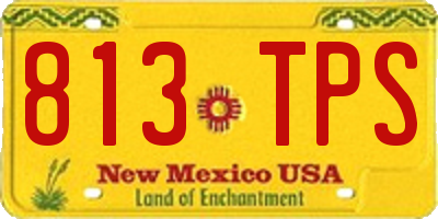 NM license plate 813TPS