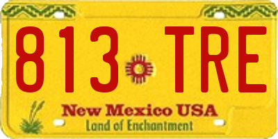 NM license plate 813TRE