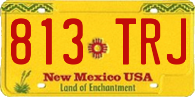 NM license plate 813TRJ