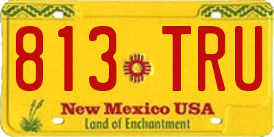 NM license plate 813TRU