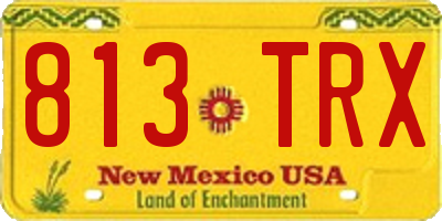 NM license plate 813TRX