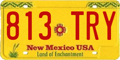 NM license plate 813TRY