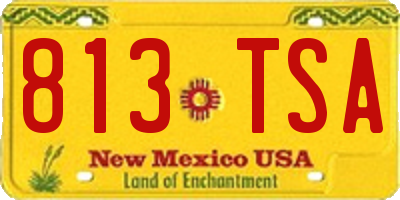 NM license plate 813TSA
