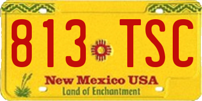 NM license plate 813TSC