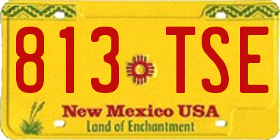 NM license plate 813TSE