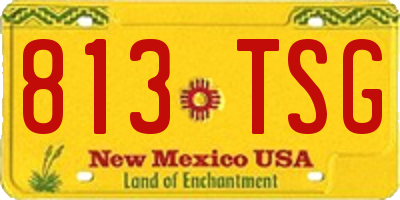 NM license plate 813TSG