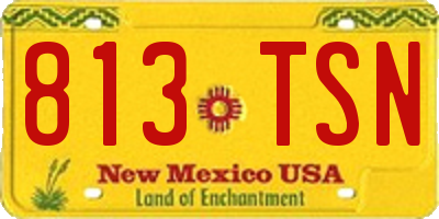 NM license plate 813TSN
