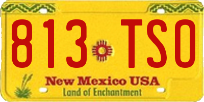 NM license plate 813TSO