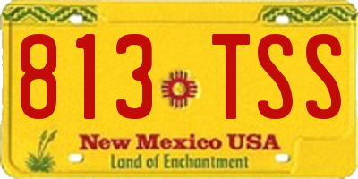 NM license plate 813TSS