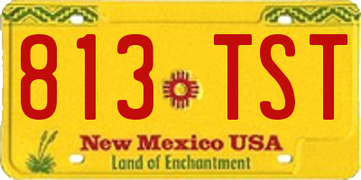 NM license plate 813TST