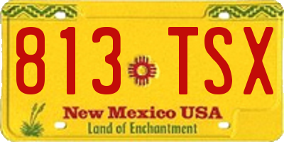 NM license plate 813TSX