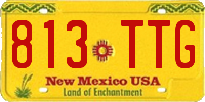 NM license plate 813TTG
