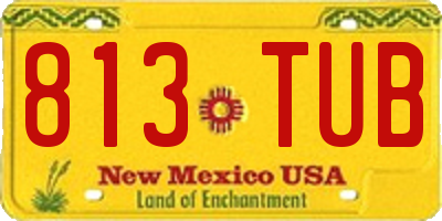 NM license plate 813TUB