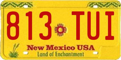 NM license plate 813TUI