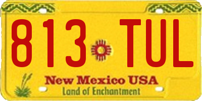 NM license plate 813TUL