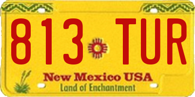 NM license plate 813TUR