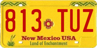 NM license plate 813TUZ