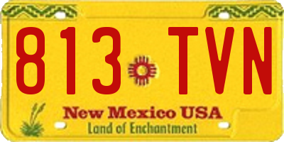 NM license plate 813TVN