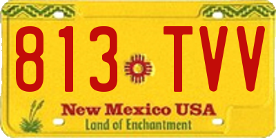 NM license plate 813TVV