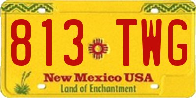 NM license plate 813TWG