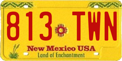 NM license plate 813TWN