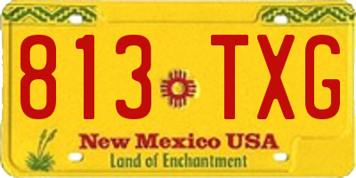 NM license plate 813TXG