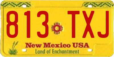 NM license plate 813TXJ
