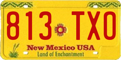 NM license plate 813TXO