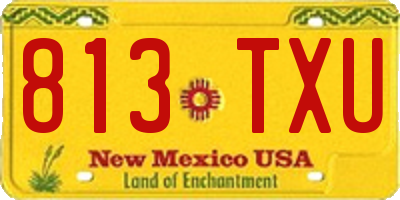 NM license plate 813TXU