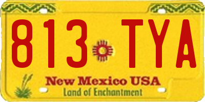 NM license plate 813TYA