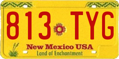 NM license plate 813TYG