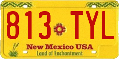 NM license plate 813TYL