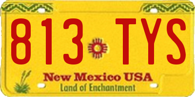NM license plate 813TYS