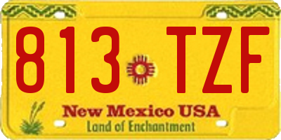 NM license plate 813TZF