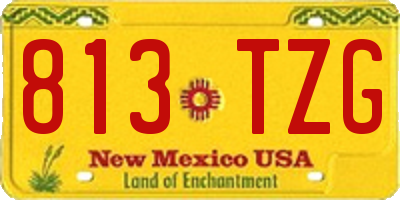 NM license plate 813TZG