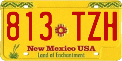 NM license plate 813TZH