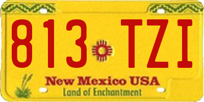 NM license plate 813TZI