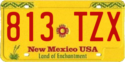 NM license plate 813TZX