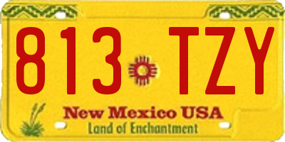 NM license plate 813TZY