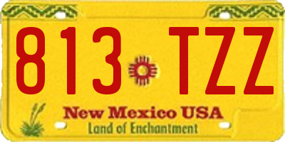 NM license plate 813TZZ