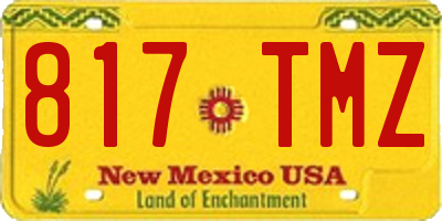 NM license plate 817TMZ