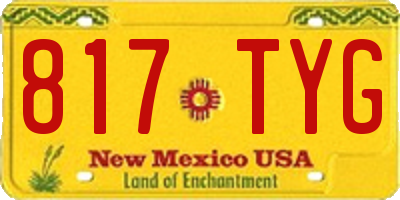 NM license plate 817TYG