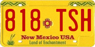 NM license plate 818TSH