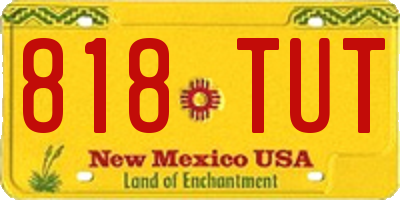 NM license plate 818TUT