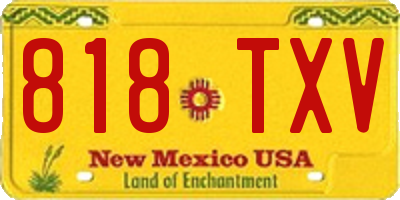 NM license plate 818TXV