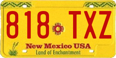 NM license plate 818TXZ