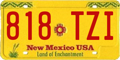 NM license plate 818TZI