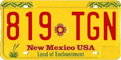 NM license plate 819TGN