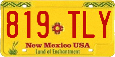 NM license plate 819TLY