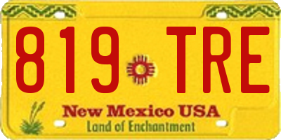 NM license plate 819TRE